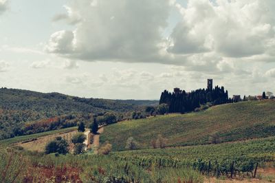 Scenic view of field against sky