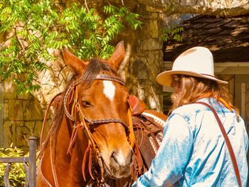 Horse in a animal