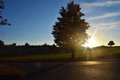 Sunlight streaming through trees on field against sky at sunset