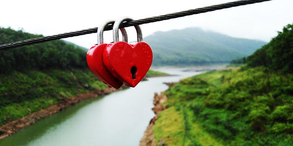 Close-up of padlocks on heart shape by river