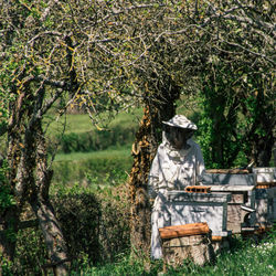 Beekeeper in work