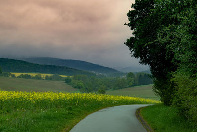 Road amidst field against sky