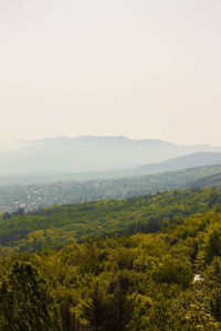 Scenic view of landscape against clear sky