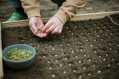 Midsection of person gardening