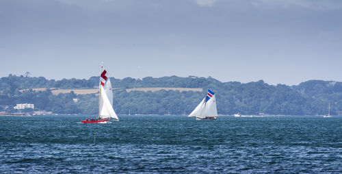 Sailboats in sea