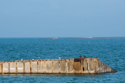 Scenic view of sea and mulberry against clear sky