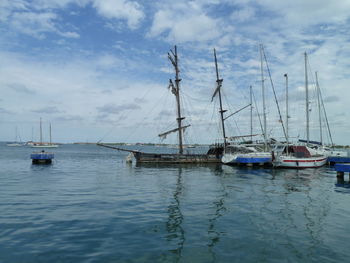 Sailboats in marina