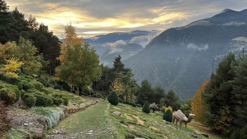 Scenic view of mountains against sky during sunset