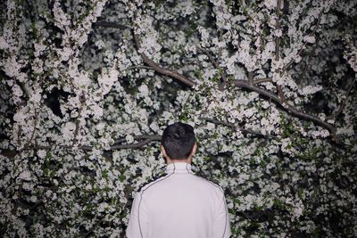 Rear view of man standing by cherry blossom tree