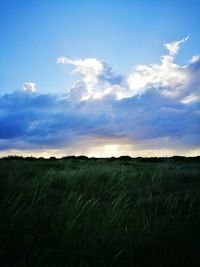 Scenic view of landscape against cloudy sky