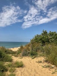 Scenic view of beach against sky