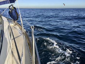 Sailboat sailing in sea against sky