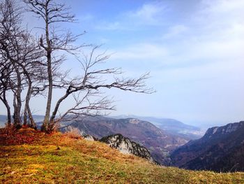 Scenic view of landscape against sky