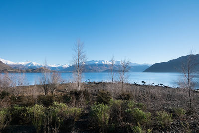 Scenic view of lake against clear blue sky