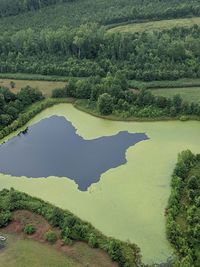 High angle view of lake amidst trees