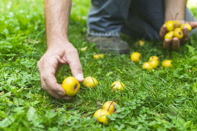 Midsection of man holding fruit