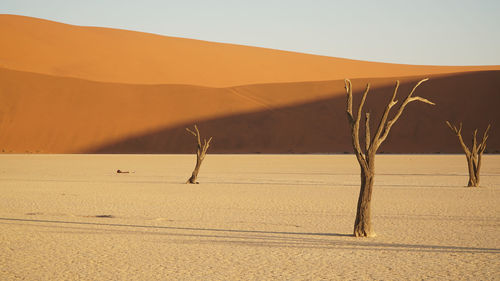 Scenic view of desert against clear sky