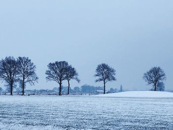 Bare trees on snow covered field against sky