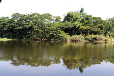 Scenic view of lake in forest against clear sky