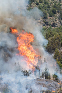 High angle view of fire in forest