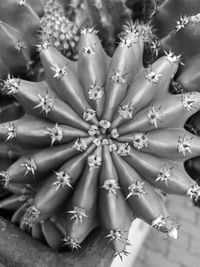 Full frame shot of christmas decorations