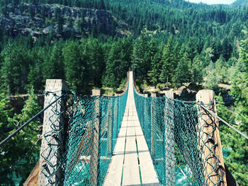 Footbridge amidst trees in forest