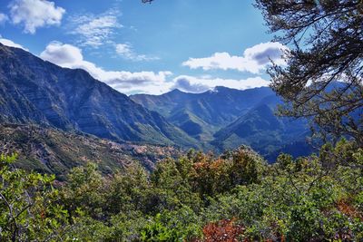 mountain