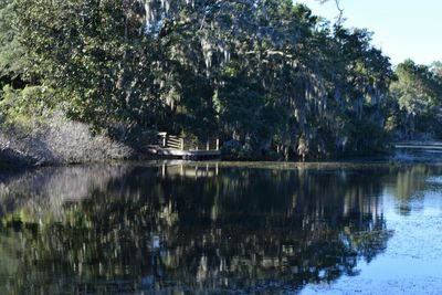 Scenic view of lake