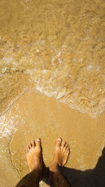 Low section of man standing on beach