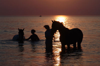 Silhouette people with dog at sea during sunset