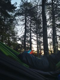 Man sleeping on hammock in forest