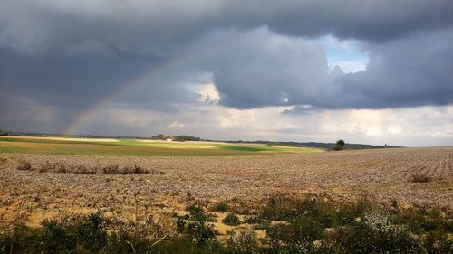 Scenic view of field against sky