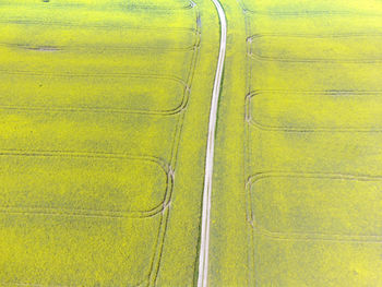 High angle view of yellow agricultural field