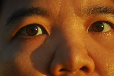 Close-up portrait of human eye