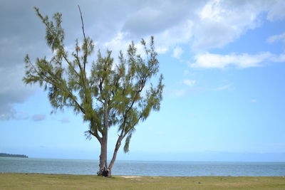 Scenic view of sea against cloudy sky