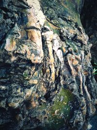 Rocks on rocks
