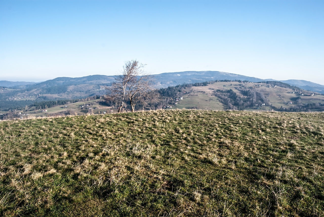 SCENIC VIEW OF LAND AGAINST SKY