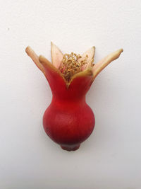 Close-up of fruits against white background