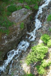 Stream flowing through rocks in forest