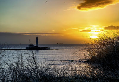 Sunrise over the lighthouse on st. mary's island, whitley bay, england