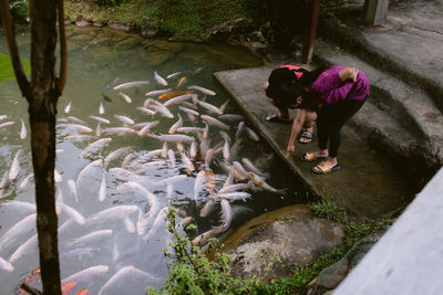 High angle view of man standing in water