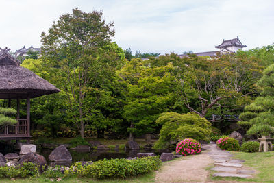 Trees and plants in garden against sky