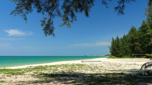 Scenic view of beach against clear blue sky