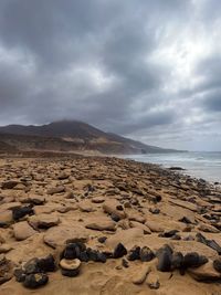 Scenic view of beach against sky