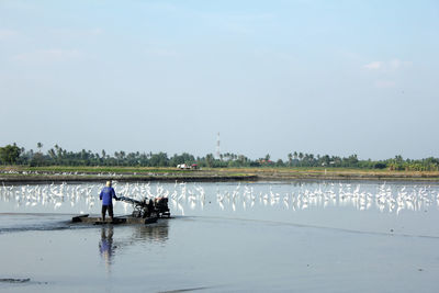 Man working in lake against seagulls