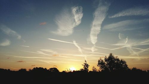 Silhouette trees against sky at sunset