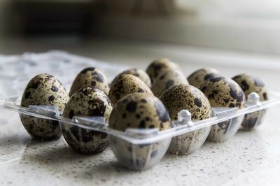 Close-up of quail eggs in tray