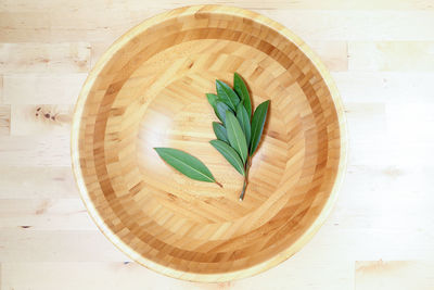 High angle view of leaves in container on table