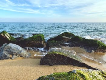 Scenic view of rocks on beach against sky