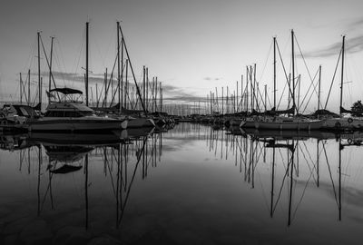 Sailboats moored in harbor